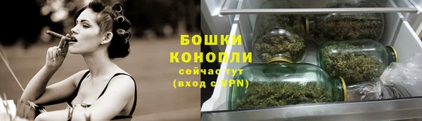трава Надым