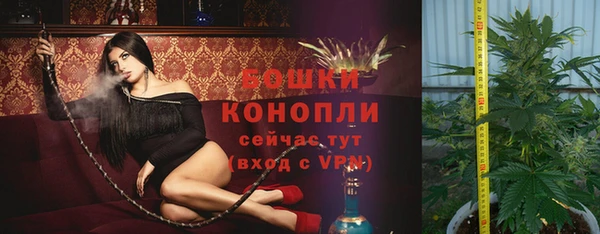 трава Надым