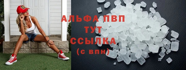 трава Надым