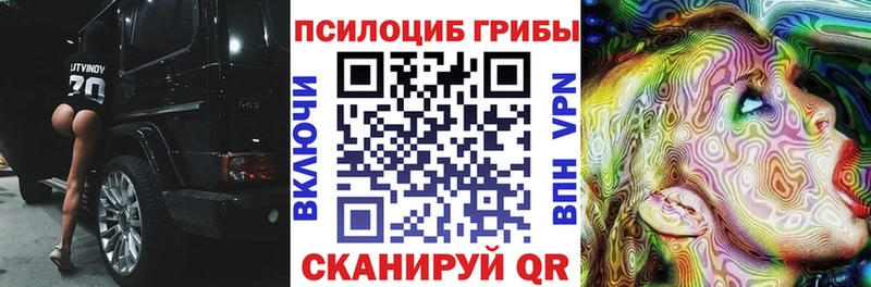 Псилоцибиновые грибы Cubensis  Суздаль 